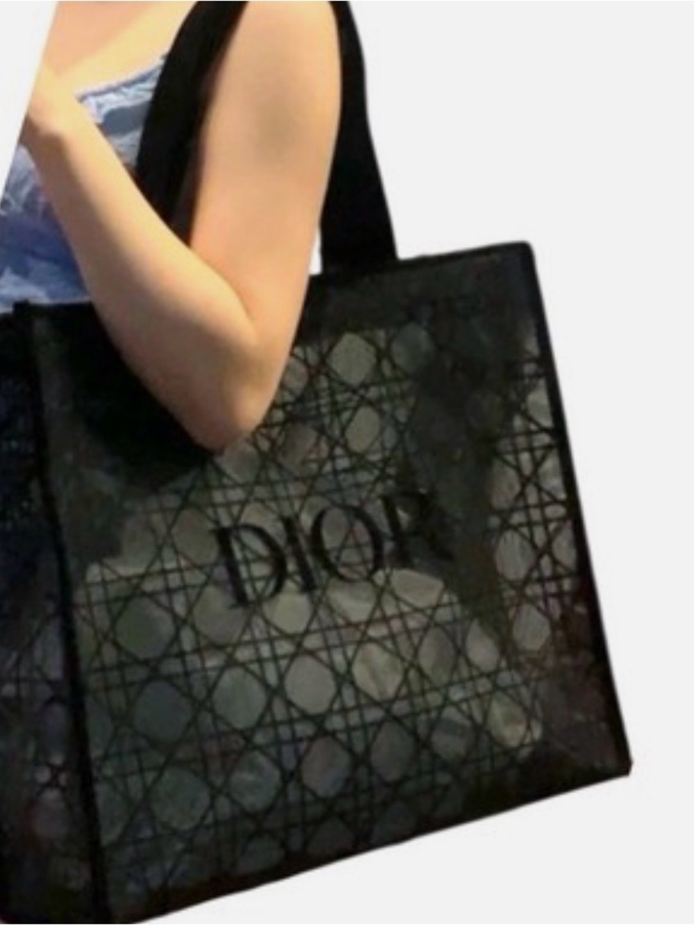 Dior Black Embroidered Tote with Metallic Accent